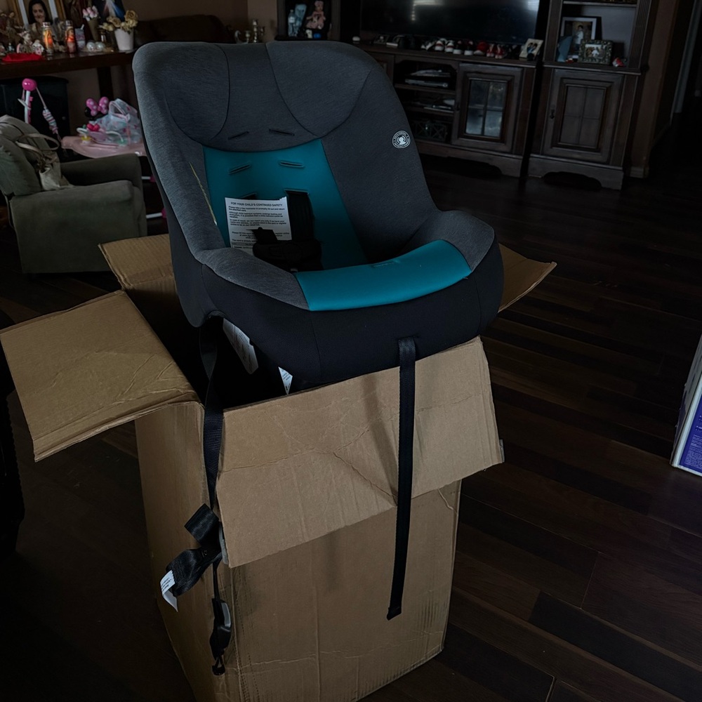 Teal and Gray Kids Car Seat